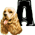 a.gif