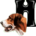 h.gif