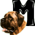 m.gif