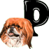 p.gif