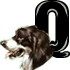 q.gif