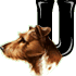 u.gif